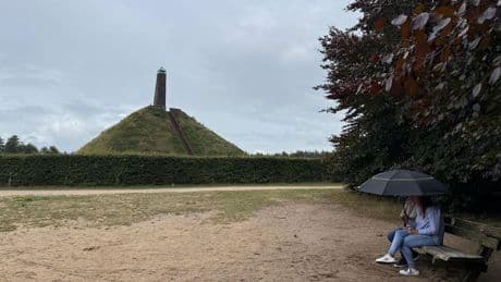 Provincie: mijd Utrechtse Heuvelrug vanwege de 'probleemwolf'
