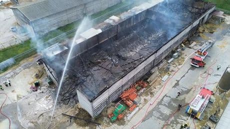 Feuerwehreinsatz: Etwa hundert Kälber sterben bei Brand auf Milchhof