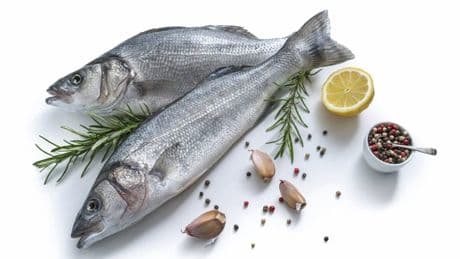 En été, le star des poissons (le bar) fait un tabac