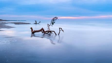Ostsee-Urlaub ab Berlin 2025: Weststrand Darß ist Geheimtipp