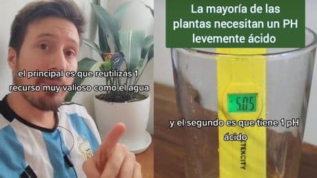 ¿Se puede usar el agua del aire acondicionado para regar plantas? Esto dicen expertos y jardineros urbanos