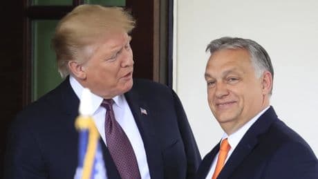 Krieg in der Ukraine: Trump spricht mit Orban über EU-Beitritt der Ukraine