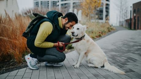 La relation humain-chien est un des marqueurs majeurs de notre histoire moderne