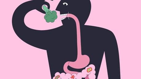Medizin: „Unser Darm ist kein schmutziges Abflussrohr“
