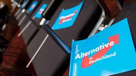 AfD-Verbot: Menschenrechtsinstitut sieht irreführende Diskussion über Verfahren