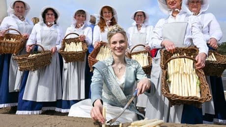 Spargelsaison: Spargelfest in Beelitz startet mit Sicherheitskontrollen