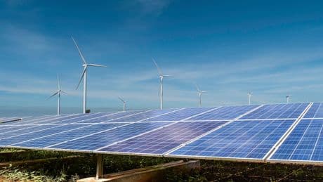 El impacto &quot;negativo&quot; y &quot;nocivo&quot; de las renovables según los expertos: &quot;De verde tienen poco&quot;