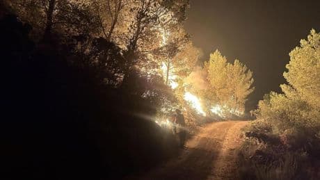Muere un bombero mientras trabajaba en el control del incendio de Tarragona