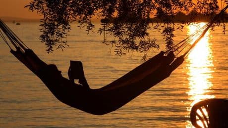 Summer School ☀️: Diese drei Bücher sollten Sie in diesem Sommer lesen
