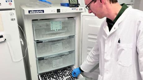 Lebensmittelsicherheit: LGL: Pestizidrückstände bei Bio-Gemüse durchweg geringer