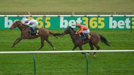Young horse dies during Royal Ascot as TV presenter reveals heartbreaking news during live coverage