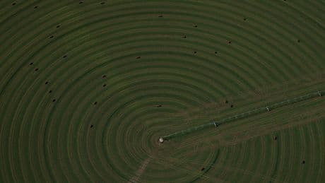 Agriculture Dept. to Crack Down on Chinese Ownership of American Farmland