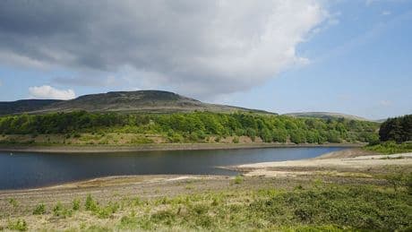 Interim water review ‘not the finishing line’ to fix failures, campaigners warn