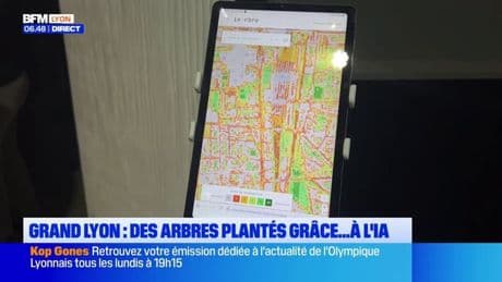 Grand Lyon: des arbres plantés grâce... à l'IA