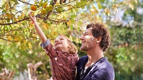 Start your own orchard in time for spring with this on-sale 5-piece fruit tree collection
