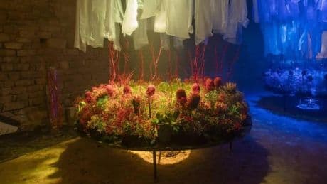 BBVA transforma Girona en flores y cultura este mayo