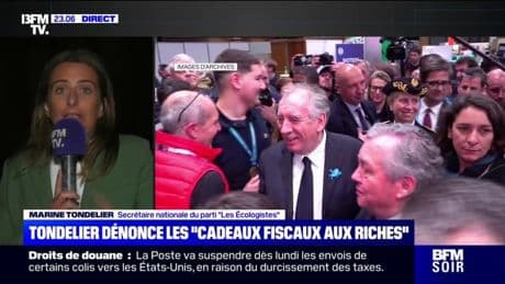 Budget 2026: "C'est quand même leur bilan… Les Mozart de la finance", lance Marine Tondelier, Secrétaire nationale du parti "Les Écologistes"