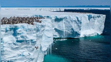 "Earth Day": Doku zeigt spektakuläre Pinguin-Aufnahmen