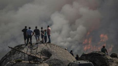 La ola de incendios forestales continúa con 14 focos graves activos en tres comunidades