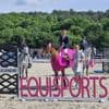 Équitation. Équisports de Montfort-sur-Meu : Nicolas Layec et Georgio Louvo ont le dernier mot