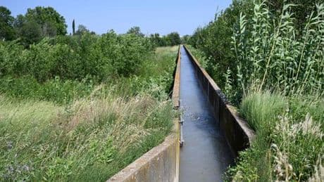 Loi Duplomb : des régies publiques de l’eau alertent sur les risques pour l’environnement et la santé