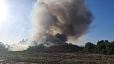 Fuego en Málaga capital: declarado un incendio forestal en el polígono Guadalhorce