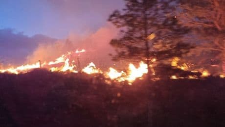 Cops probing Highland wildfire hunting for group 'seen fishing' before blaze