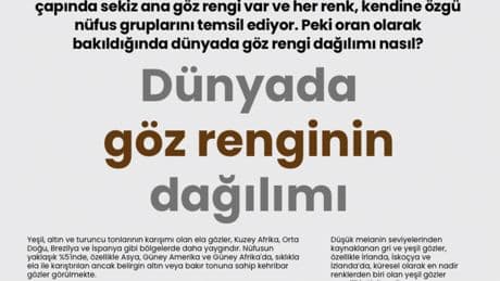 Dünyada göz renginin dağılımı