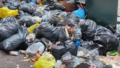 Ellende door etensresten en kapot gescheurde vuilniszakken op straat: ’Een overvolle container is een vijfsterrenbuffet voor de rat’