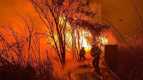 ¿Confinar o evacuar? Cuando el fuego marca las decisiones