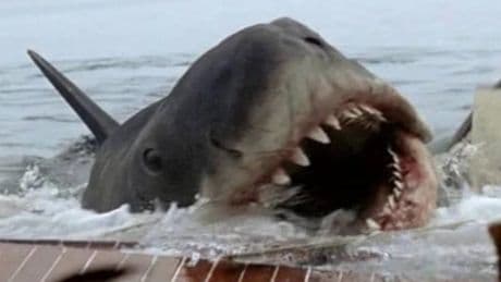Les replays du week-end : Cerrone, requin méchant, science sans conscience, Madness