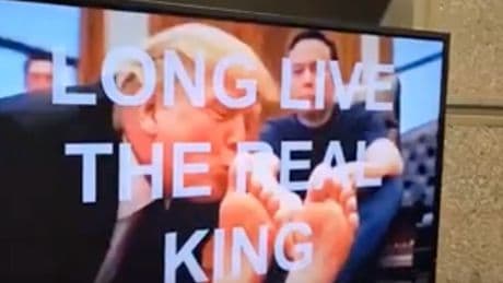 Hacker who beamed AI images of Trump kissing Elon Musk’s feet was working during taxpayer-funded union time, report claims