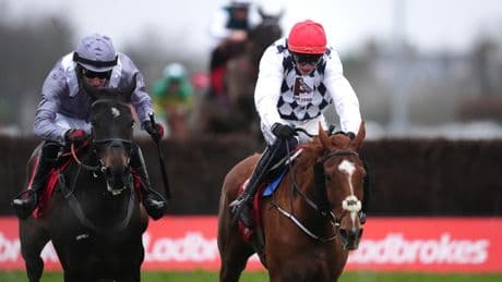 Templegate tips Willie Mullins to strike again on day two of Punchestown Festival