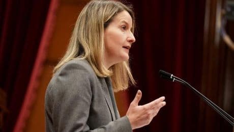 El Govern presentará la próxima semana su proyecto de "refundación" de la DGAIA