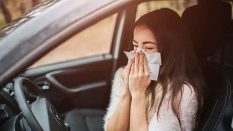 Si eres alérgico al polen (como yo), esta primavera va a ser dura: te contamos cómo hacer de tu coche un &#039;búnker&#039; anti alergia