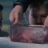RSPCA accuses Disney of using streaming 'loophole' to broadcast sick 'rat-drowning' scene in 1989 film that UK censors banned decades ago