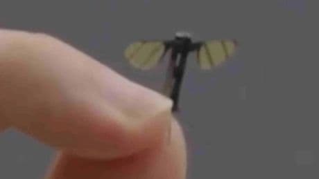 Mini-Drohne - Forscher entwickeln Spionage-Mücken