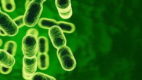 Darm und Psyche: Das Zusammenspiel von Serotonin und innerer Balance