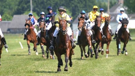 PMU : un rapport explosif de l'Inspection générale des Finances relance la guerre entre le Trot et France Galop