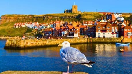 UK’s best seaside town should be visited now due to 1 strange festival celebrated in April