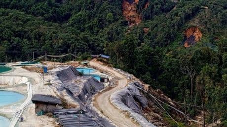 China: „Grüner Durchbruch mit verheerenden Auswirkungen“ – Was der Abbau seltener Erden anrichtet