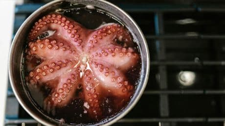 Nunca llueve a gusto de todos: acabamos de descubrir que las precipitaciones han causado estragos en el pulpo gallego