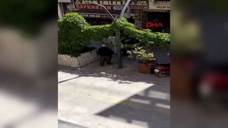 Engelli esnaf ile zabıta arasında arbede