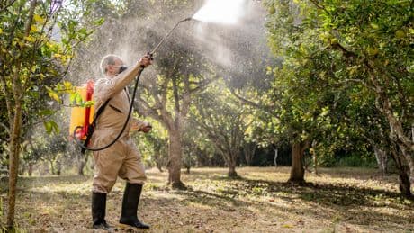 A tech startup is using IoT sensors and AI to help farmers cut hefty pesticide costs
