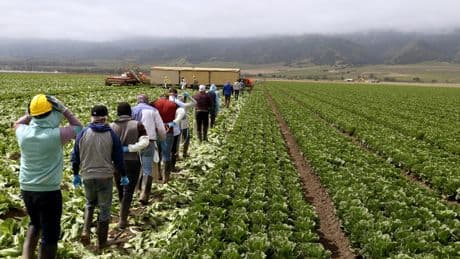 In America's 'salad bowl,' farmers invest in guest worker housing, hoping to stabilize workforce
