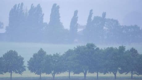 Unwetterwarnung: Wetterdienst warnt vor heftigem Regen