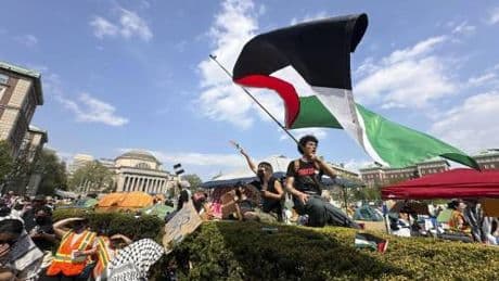 "L'America è in pericolo": cosa c'è dietro il piano del centro studi per eliminare il movimento pro-Pal negli Usa