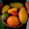 Are mangoes good for diabetes? Indian studies challenge conventional wisdom
