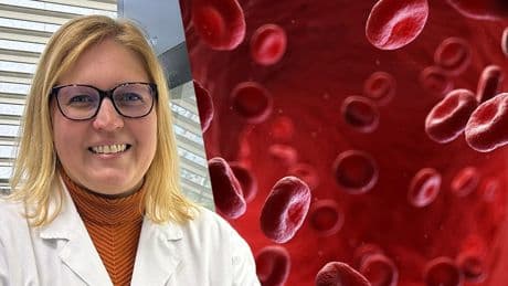 Milliarden-Forschung - Deutscher gelingt Durchbruch bei künstlichem Blut