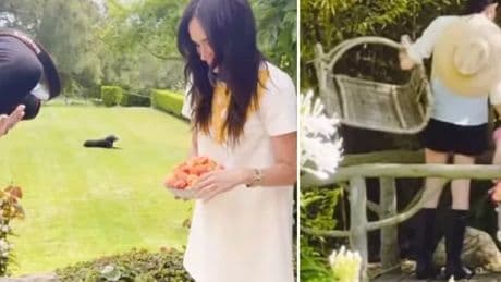Meghan Markle shares behind scenes glimpse of Lilibet with toy loved by royal cousins